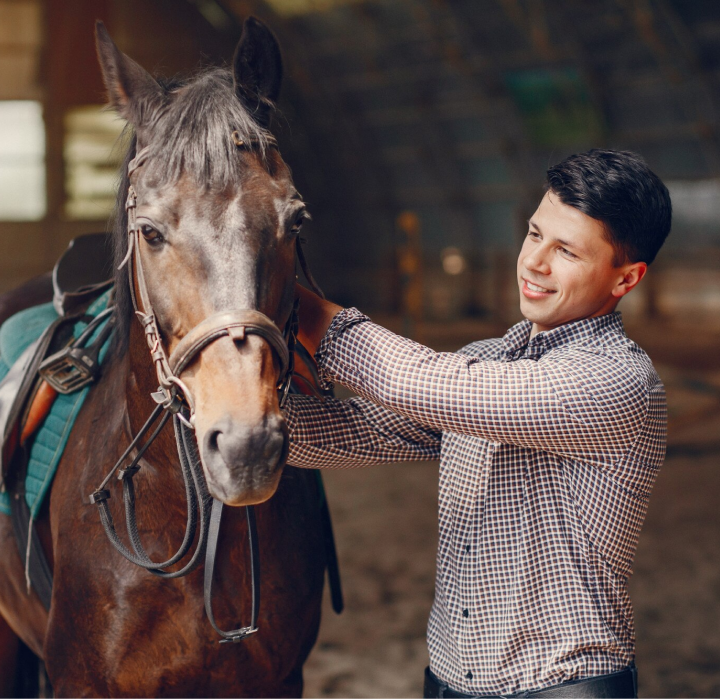 img-woman-horse (1)
